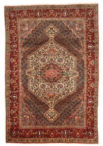  Bakhtiar Collectible Tæppe 215X315 Ægte Orientalsk Håndknyttet Mørkebrun/Lysebrun (Uld, Persien/Iran)