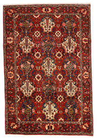  Bakhtiar Collectible Tæppe 207X307 Ægte Orientalsk Håndknyttet Mørkebrun/Rust/Mørkerød (Uld, Persien/Iran)
